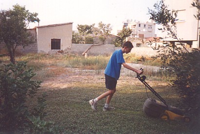 Tim mows the weeds that masqueraded as a lawn in our back garden