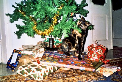 cats and Christmas trees don't really mix...