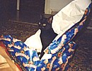 our cat Cleo with the Christmas wrapping paper