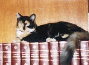 our new cat Tessie,on some encyclopedias