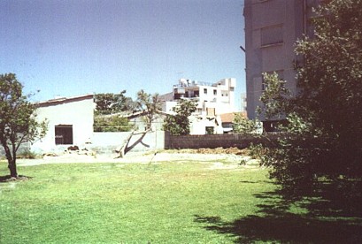 our garden in Cyprus, looking tidy for once