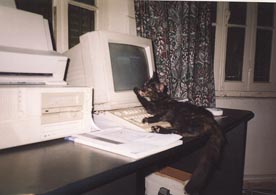 Jemima trying to kill the screen-saver, 1999