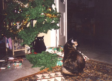 Cleo and Tessie, two cats attacking our Christmas tree