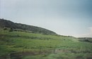 Greenery next to the motorway