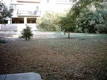 our garden looks very dry and brown in October after the long hot Cyprus summer