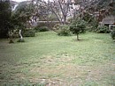 Our garden is still patchy at the end of February, but pretty green (for Cyprus)