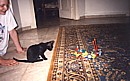 our cat cleo chases a K'nex vehicle across the floor