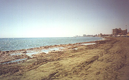 Larnaca beach, empty in the winter, with seaweed