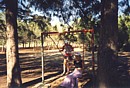 swings at the Salt Lake Park