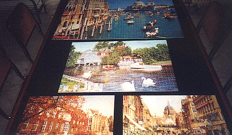 The jigsaws we completed during the summer